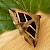  Parallel Lines Grammodes bifasciata 