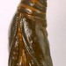 Exuviae • Pupal exuviae from reared imago. March • © Ian Smith