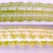Larva • In stem of Tanacetum vulgare. Imago reared. Queensferry, Flints. • © Ian Smith